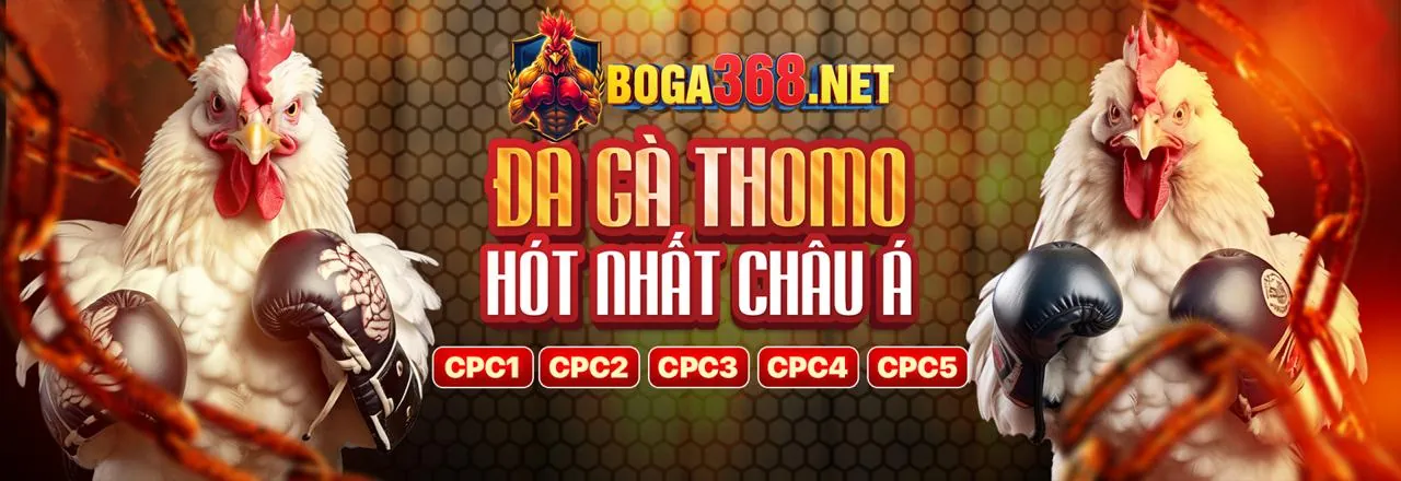 Hoàn trả cược thể thao